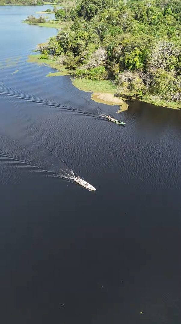 Aerial view of canoes navigating the Amazon river