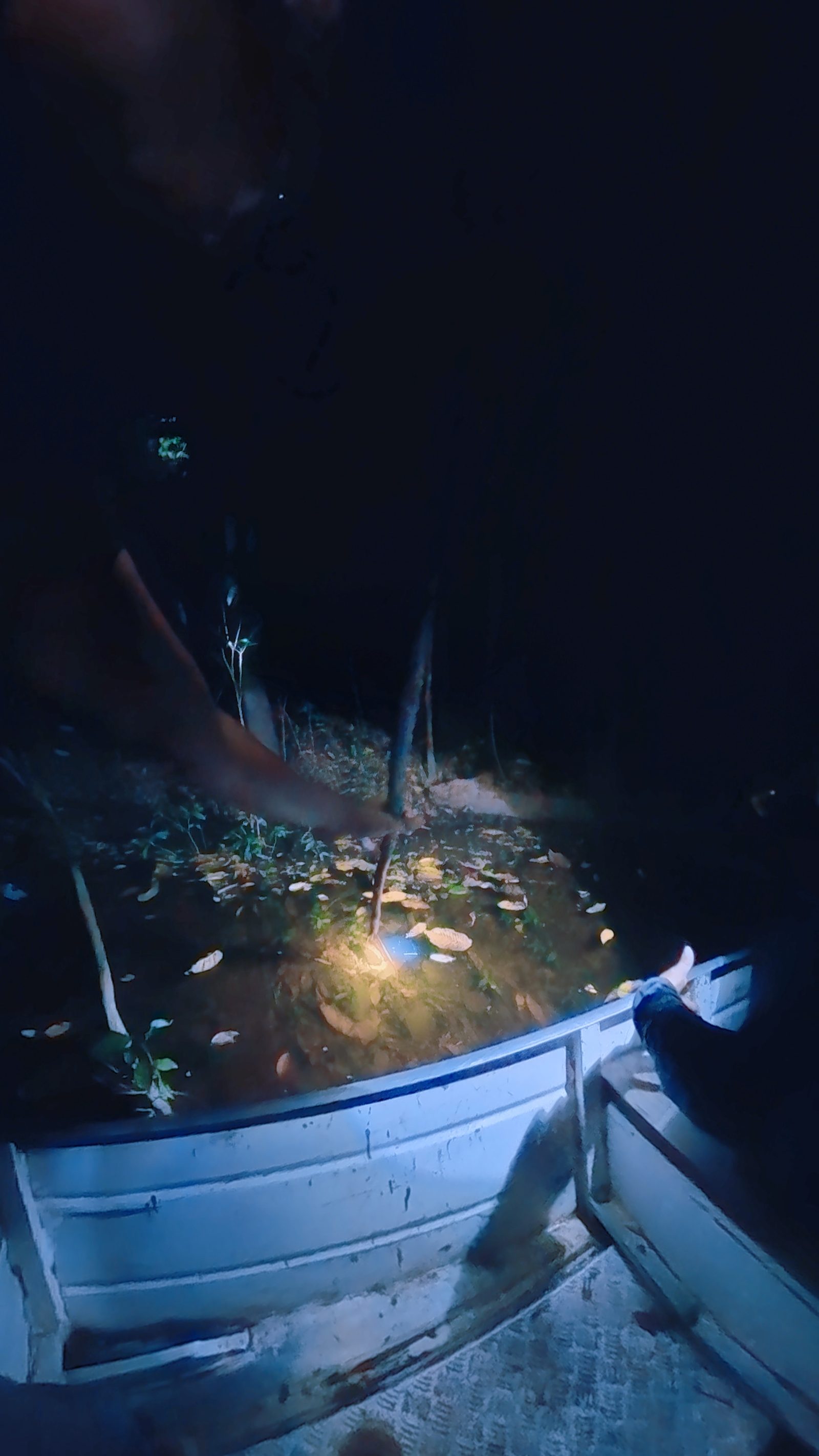 Traditional spear and bow fishing in the Amazon